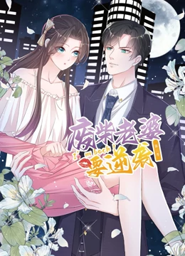 逆襲歸來(lái)：我的廢柴老婆 第三季(全集)
