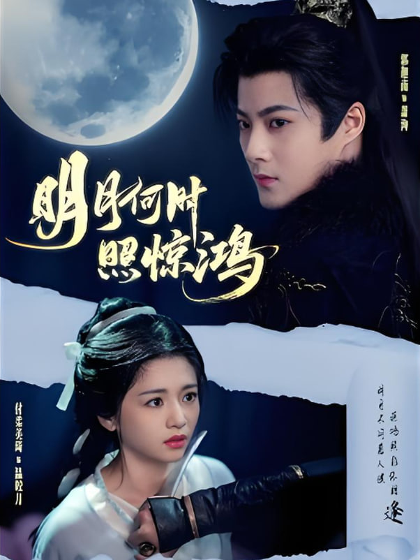 明月何時照驚鴻(全集)