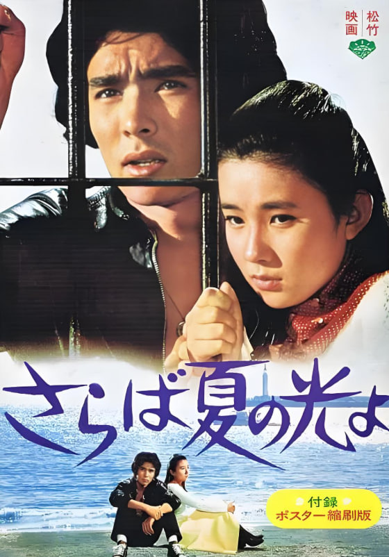 再見，夏日之光