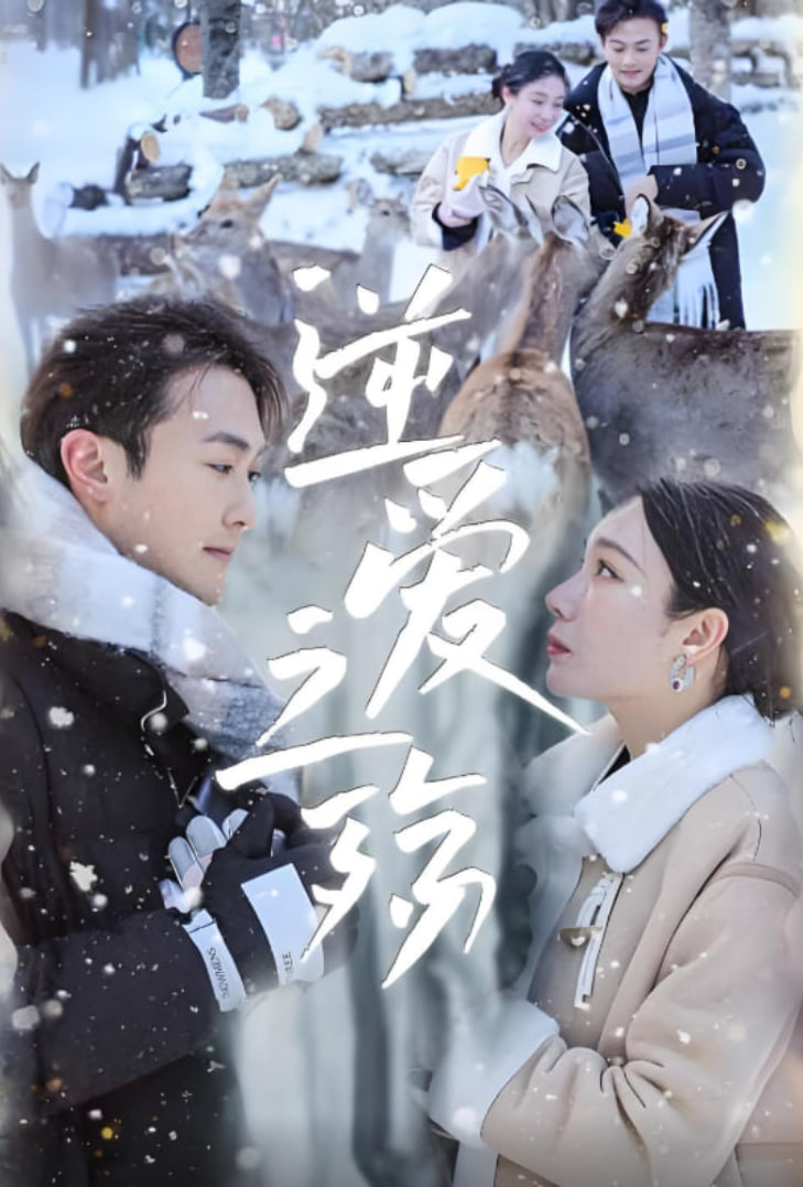 逆愛(ài)之殤(全集)