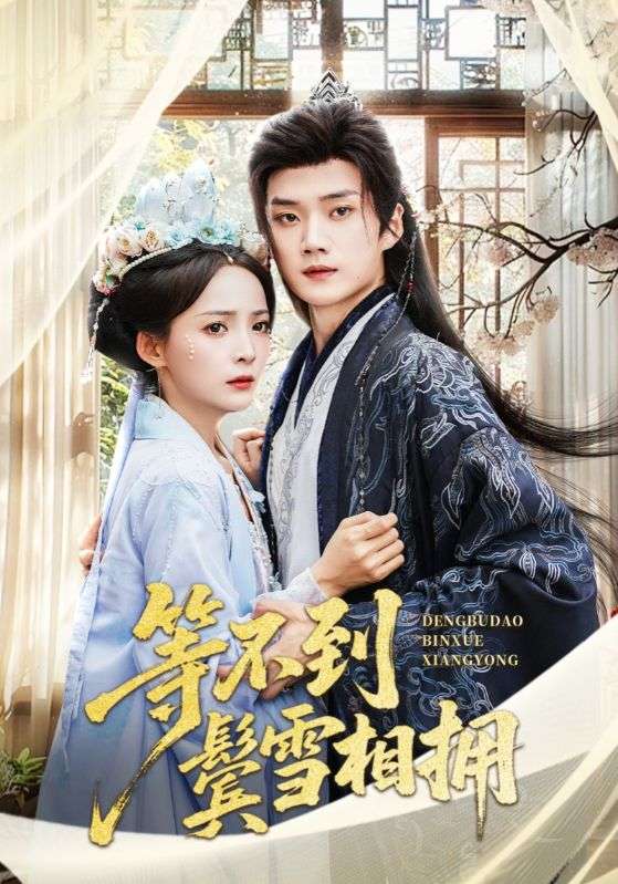等不到鬢雪相擁(全集)