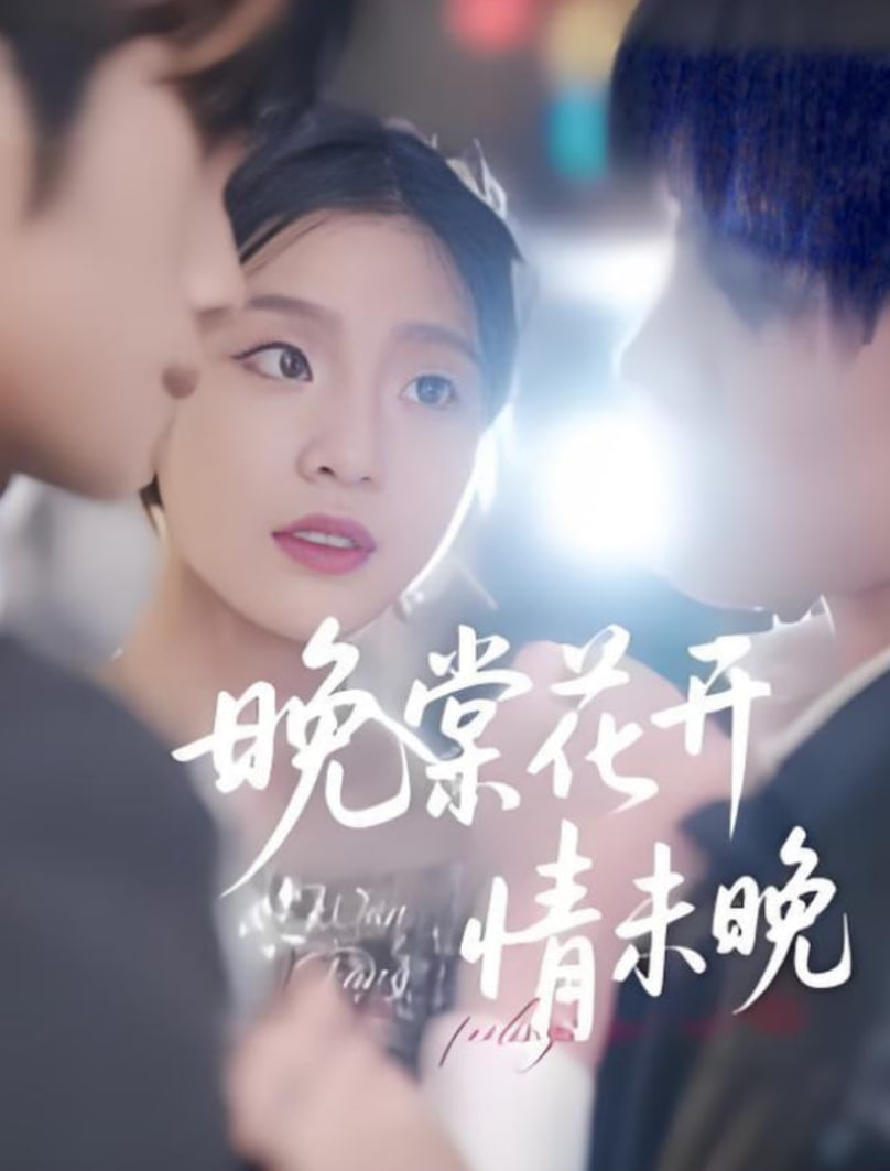 晚棠花開情未晚(全集)