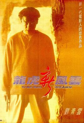 龍虎新風(fēng)云