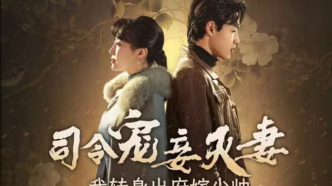 司令寵妾滅妻，我轉(zhuǎn)身出府嫁少帥(全集)