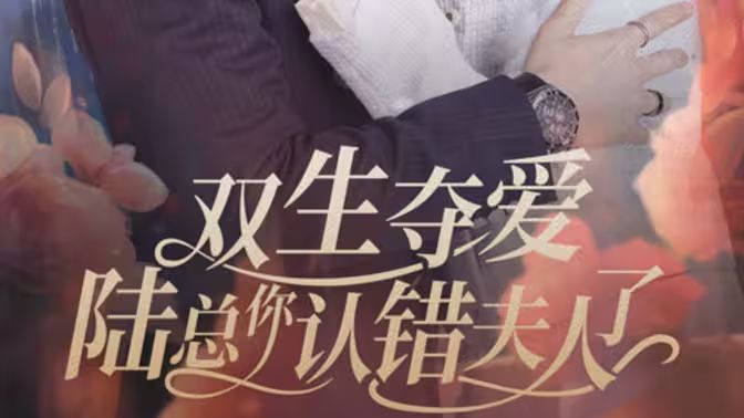 雙生奪愛陸總你認(rèn)錯(cuò)夫人了(全集)
