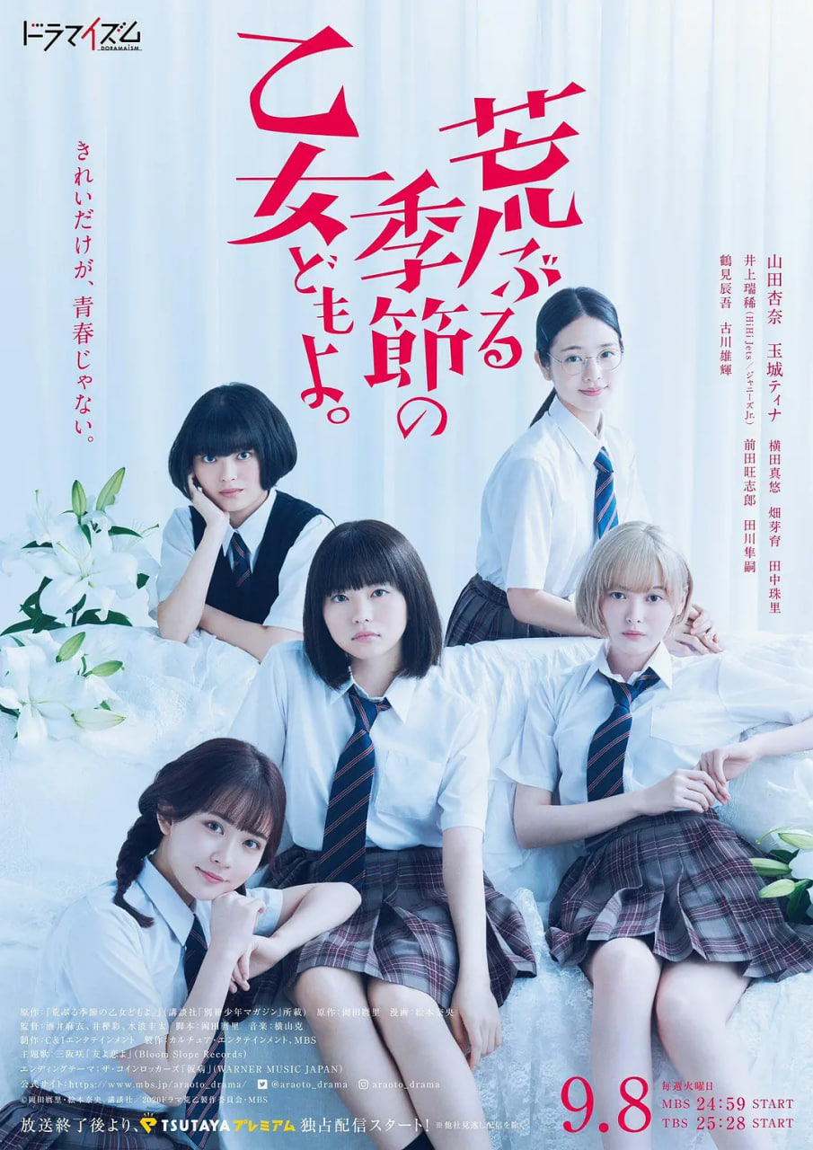 騷動(dòng)時(shí)節(jié)的少女們啊(全集)
