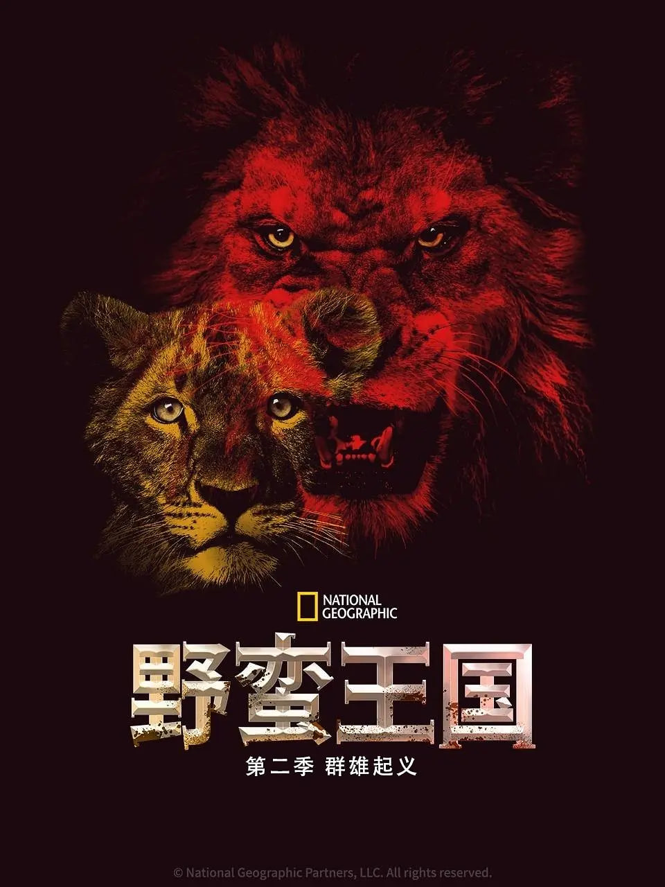 野蠻王國(guó) 第二季(全集)