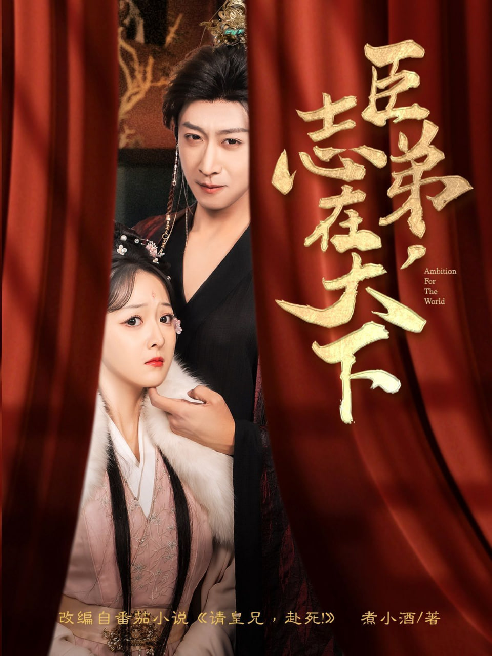 臣弟，志在天下(全集)