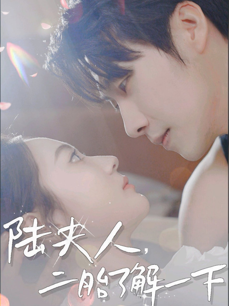 陸夫人，二胎了解一下(全集)