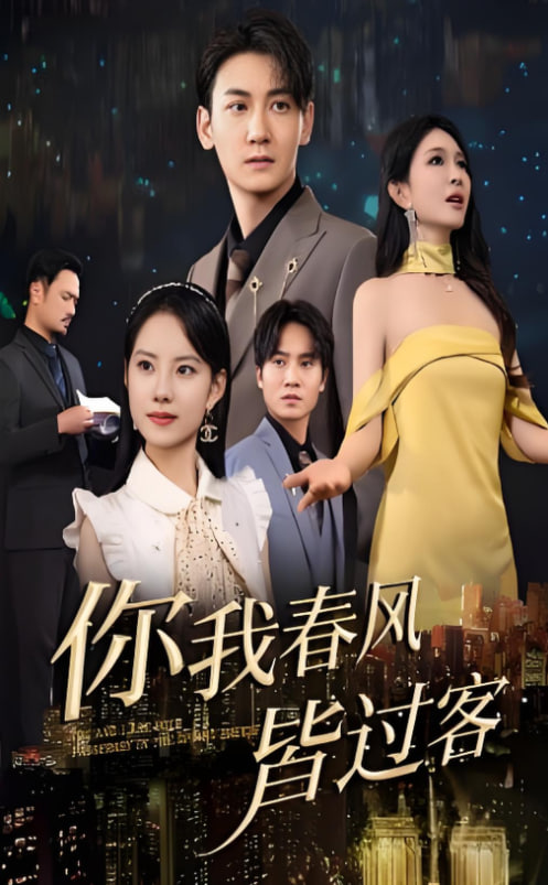 你我春風(fēng)皆過客(全集)