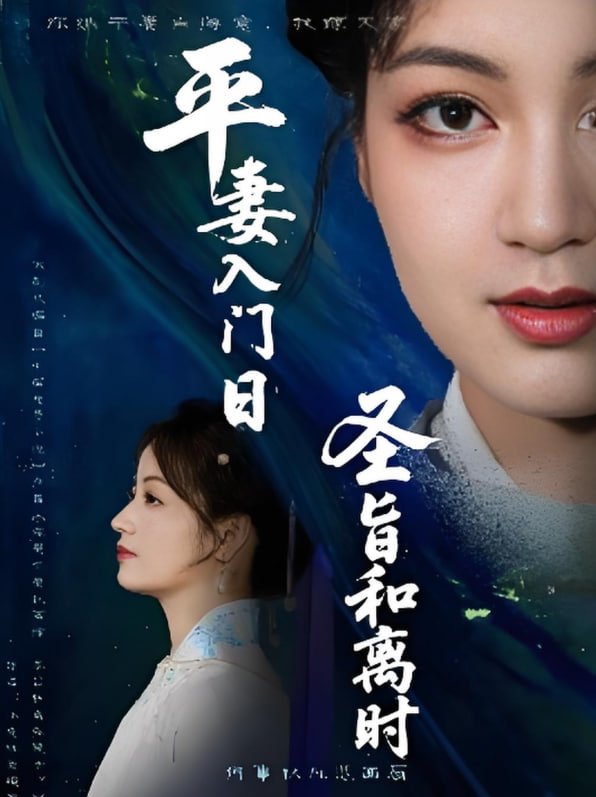 平妻入門日圣旨和離時(全集)