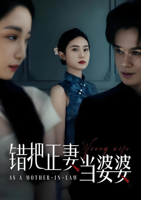 錯(cuò)把正妻當(dāng)婆婆(全集)
